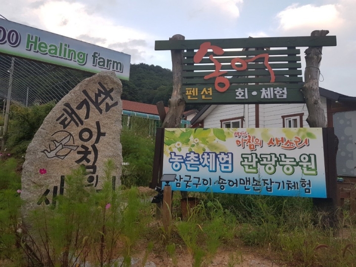 태기산 아침의 새소리